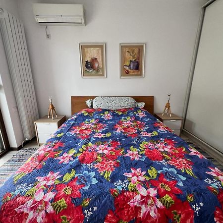 Kazanlak Large Guest House Apartment Near The Center With Full Kitchen & Dining Room, King Beds, Garden Patio, Free Parking & Self Check-In Eksteriør billede